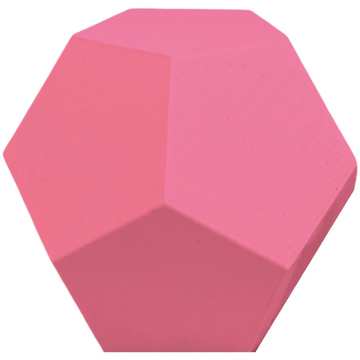PLA Go&Print ROSA